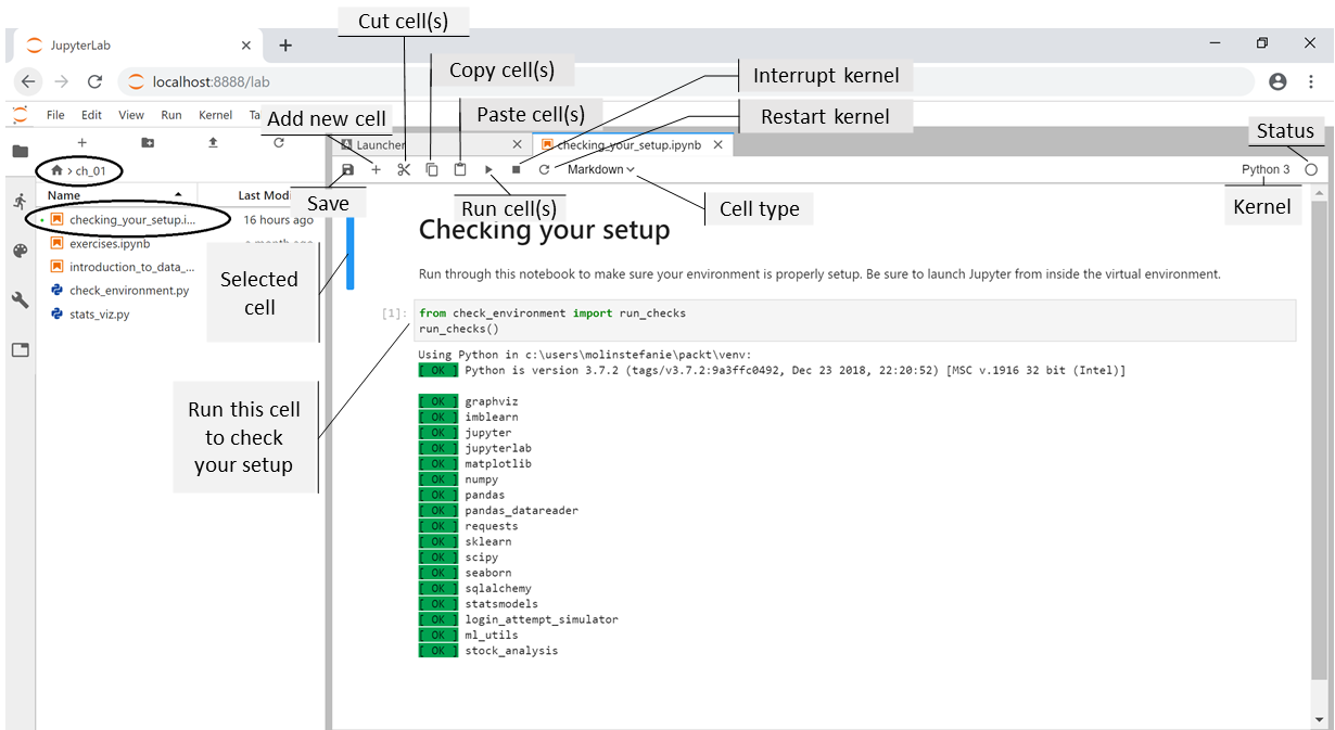 Validating The Virtual Environment Hands On Data Analysis With Pandas