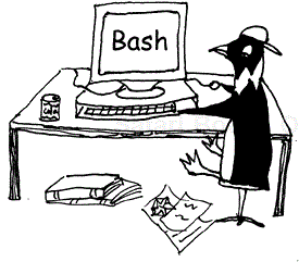 The Interactive Bash Shell