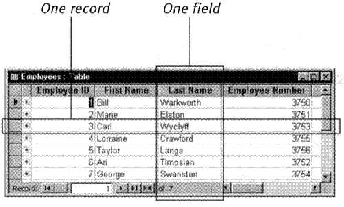 The rows of a table are records in the database and the columns are fields.