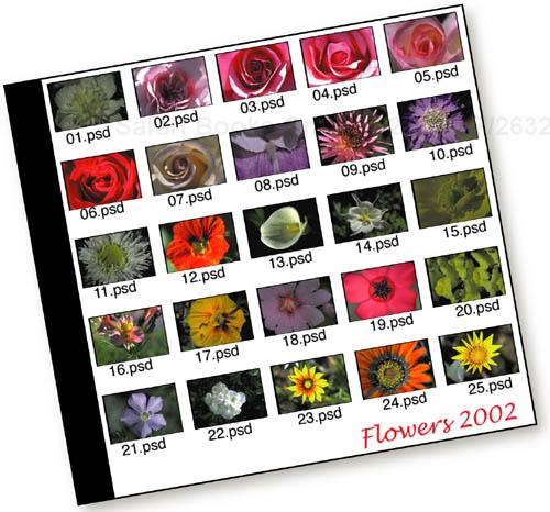 Create a Contact Sheet for Your Image CD