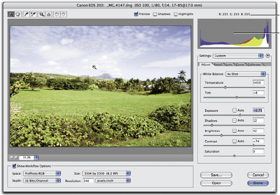 camera raw photoshop cs2 download