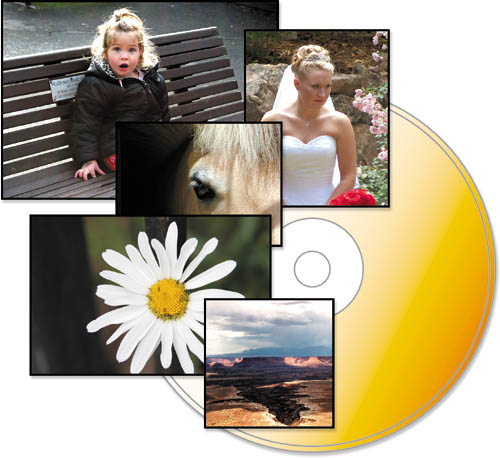 photosbacking upCDsarchiving images tobackupsof all photosarchivingArchive Your Images to a CD