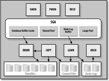 An Oracle instance