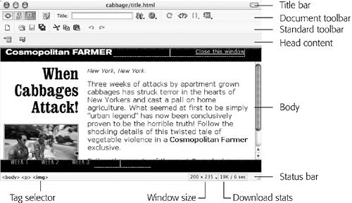 A document window represents each Web page; here’s where you add text, graphics and other objects to a page. The Standard toolbar is new in Dreamweaver MX; it’s useful for frequent file and editing tasks like saving and creating files. (The elements of each Dreamweaver window are in the same places in Mac OS 9 and Mac OS X—it’s just that Mac OS X is prettier.)