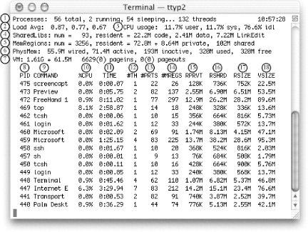 Sample output from top