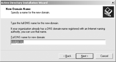 Selecting the domain name for the new Active Directory domain