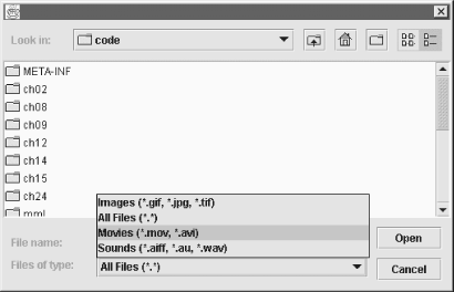 A custom set of filters for use with JFileChooser