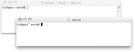 A Terminal and an xterm sporting the Aqua look