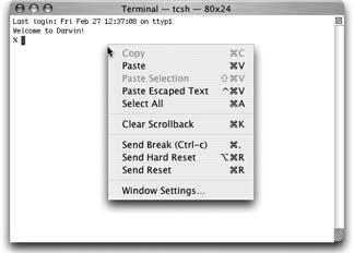 Terminal’s contextual pop-up.