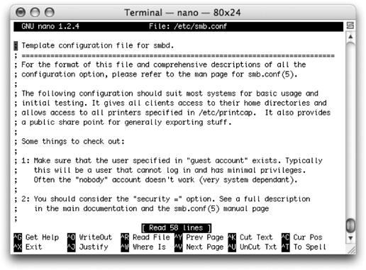 The nano text editor