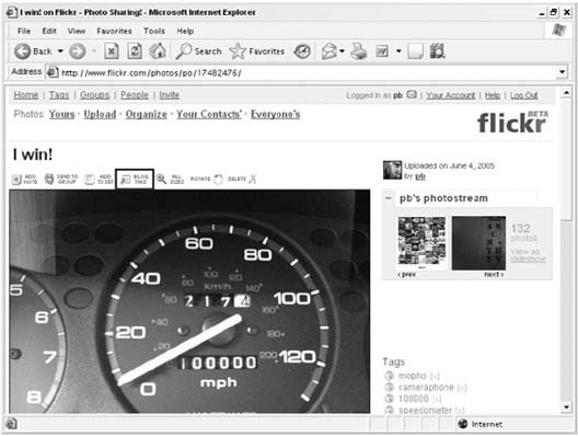 The Blog This button above a photo at Flickr