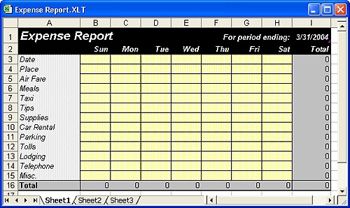 This template file serves as the basis for creating new expense reports.