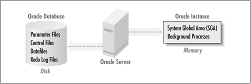 The Oracle database and the Oracle instance