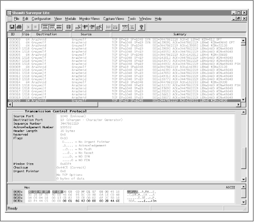 A Chargen client exchanging data with a Chargen server