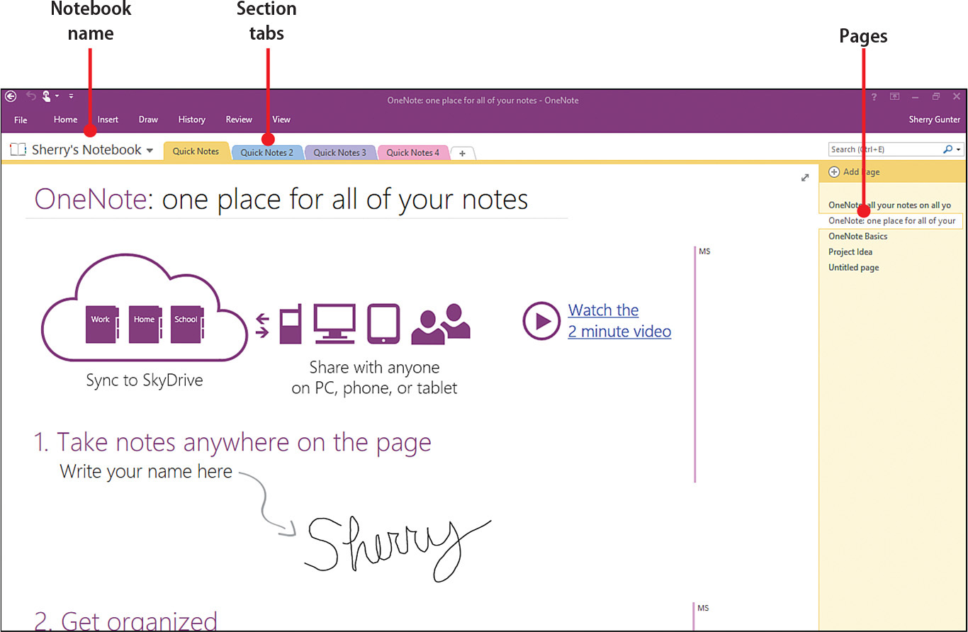 P. What Is OneNote? - My OneNote® 2016 [Book]