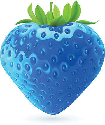 Photo shows a blue-colored strawberry.