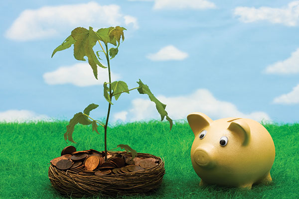 An image shows a piggy bank placed near a sapling in a basket full of coins.