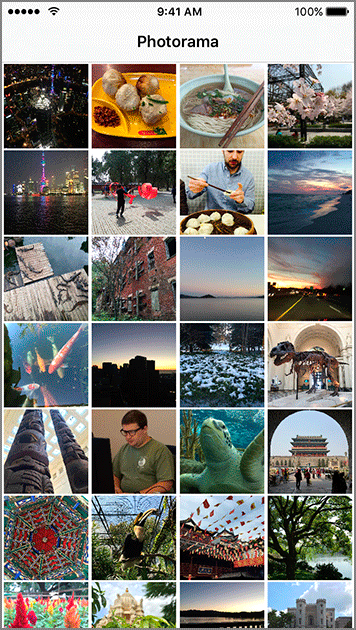 Screenshot shows photorama interface with thumbnails of several photographs.