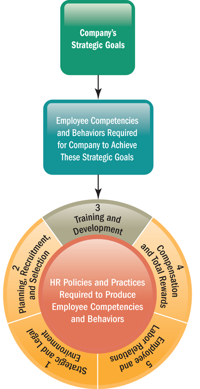 The third category of H R policies and practices required to produce employee competencies and behaviors is training and development.