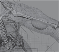 Finishing the IK Biped Rig