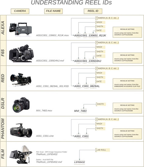 FIGURE 10.2 Understanding REEL IDs Chart by Justin Lutsky