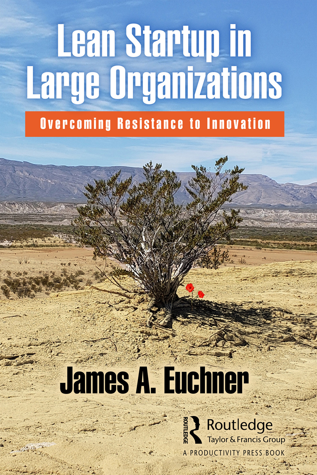 Cover: Lean Startup in Large Organizations, Edited by James A. Euchner, published by Routledge