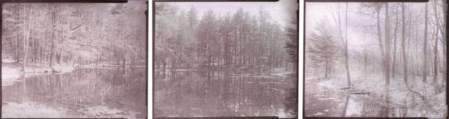 Figure 11.2 Chelmsford, MA (Triptych). 4″ x 15.5″ chrysotype print. © Mark L. Eshbaugh, 2008.