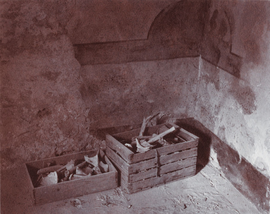 Figure 1.2 Ossuary, Noto Antica, Sicily. 8″ x 10″ chrysotype print. © Mike Ware, 1987