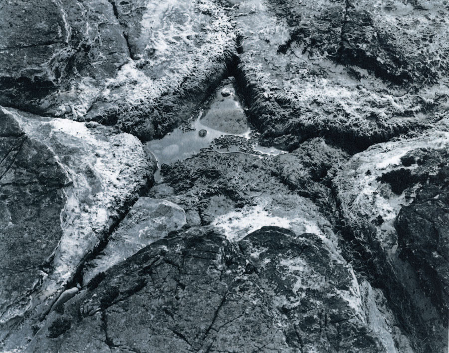 Figure 6.2 Starpool, South Ronaldsay, Orkney. 8″ x 10″ chrysotype print. © Mike Ware, 1984.