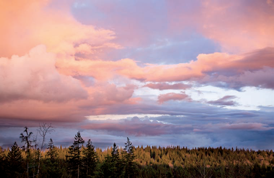 The breathtaking sweep of clouds and color along with late-afternoon light across the forest drew me to this scene. Exposure: ISO 100, f/8, 1/45 sec. using an EF 70–200mm, f/2.8L IS USM lens.