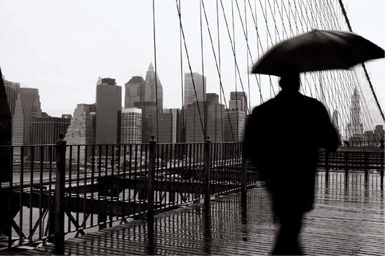 The Brooklyn Bridge