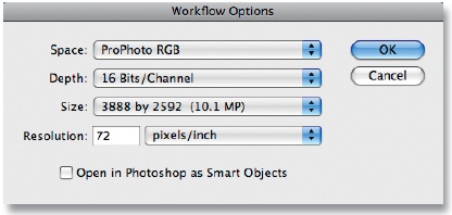 ACR workflow options set to maximum color space size (ProPhoto RGB) and bit depth (16). You may want to swtich your bit depth to 8 for smaller files.