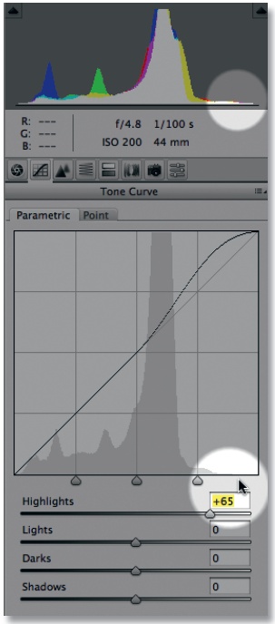 The bottom histogram shows my original image. In this case, it's lacking information in the highlight area as indicated by the pointer. So I moved the Highlights slider to +65. The top histogram shows my adjustment with information in the highlights.