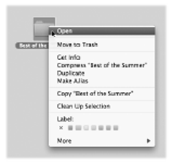 Shortcut menus are more important than ever in Leopard. They bring up useful commands in exactly the spots where they're most useful, in menus that are relevant only to what you're clicking.