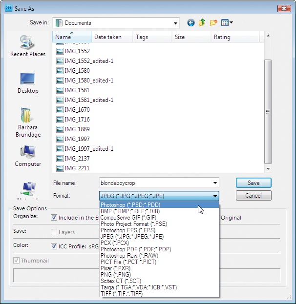 Elements' Save As dialog box changes a little depending on what you're saving, but this example is pretty typical. When you click the Format drop-down menu (indicated by the cursor), you'll see a long list of file formats to choose from.