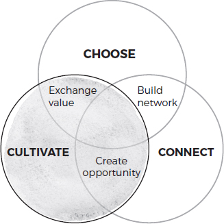 A Venn diagram shows choose, connect, and cultivate intersecting each other. The points of intersections are as follows: 
• Choose and connect: Build network
• Connect and cultivate: Create opportunity
• Cultivate and choose: Exchange value