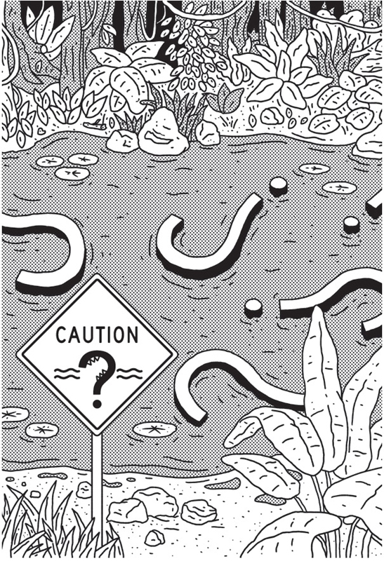 An illustration shows a pond with a caution sign. It also shows question mark signs in the pond as well as on the caution sign. 