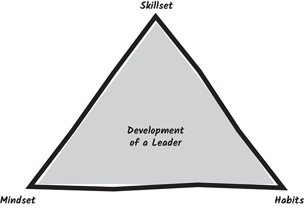 Schematic illustration of development of a leader.