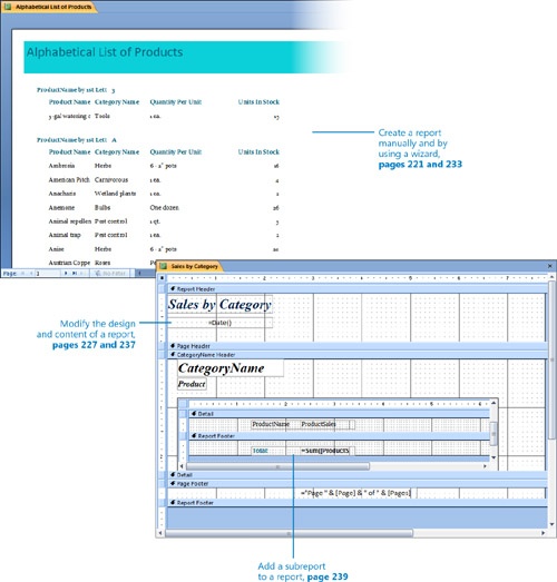 Working with Reports