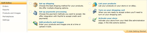 After you activate Store Manager, the Sell Online page displays your next steps.