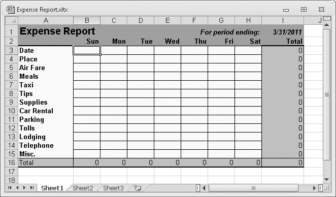 This template file serves as the basis for creating new expense reports.