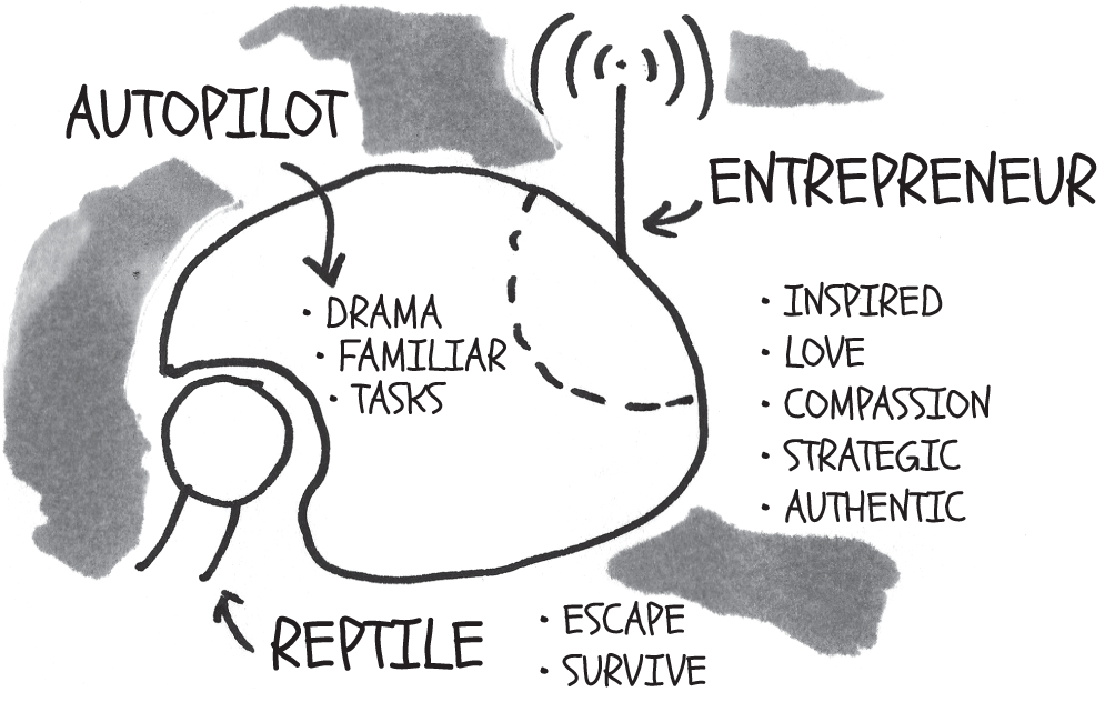 A cartoon illustration depicts a brain with multiple parts namely autopilot, entrepreneur, and reptile.