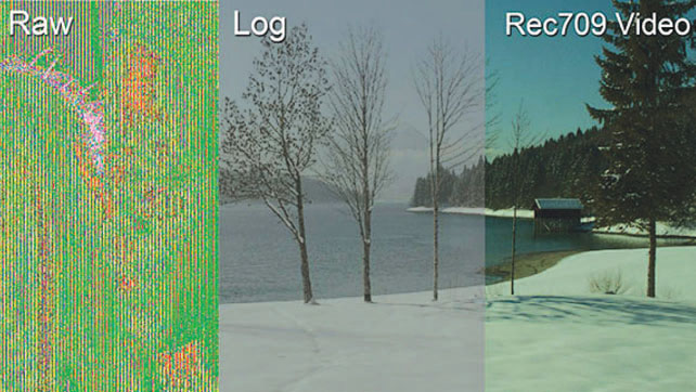 Figure 9.1. Comparison of RAW data, a log encoded image, and the frame in Rec709.