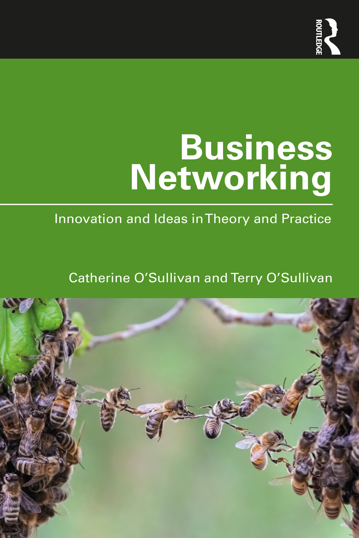 Business Networking: Innovation and Ideas in Theory and Practice cover, written by Catherine O’Sullivan and Terry O’Sullivan, published by Routledge.