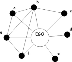 Figure 8.1 represents the ego network with seven alters and seven ties among the alters.