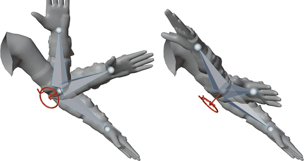 Two gray illustrations of an arm either extended or bent at the elbow.