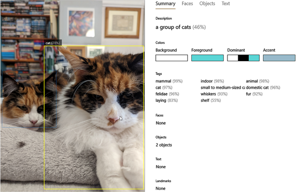 Use the Vision API Explorer to see what information Analyze Image returns for an image