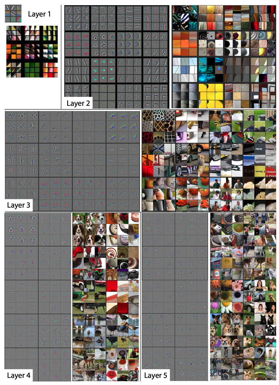 Research from Zeiler and Fergus (2013) in deconstructing CNNs helps us visualize how a CNN sees images at each layer of the network.