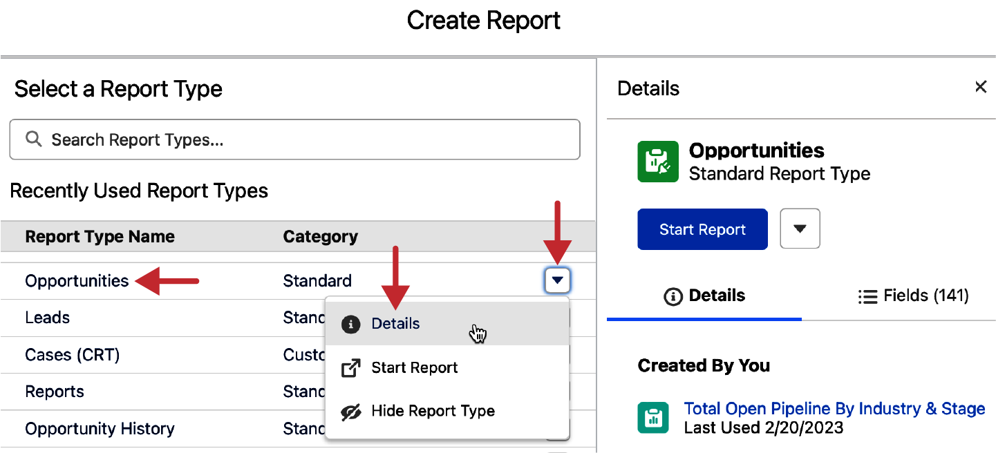 images/creating_reports/showing_the_report_type_details.png