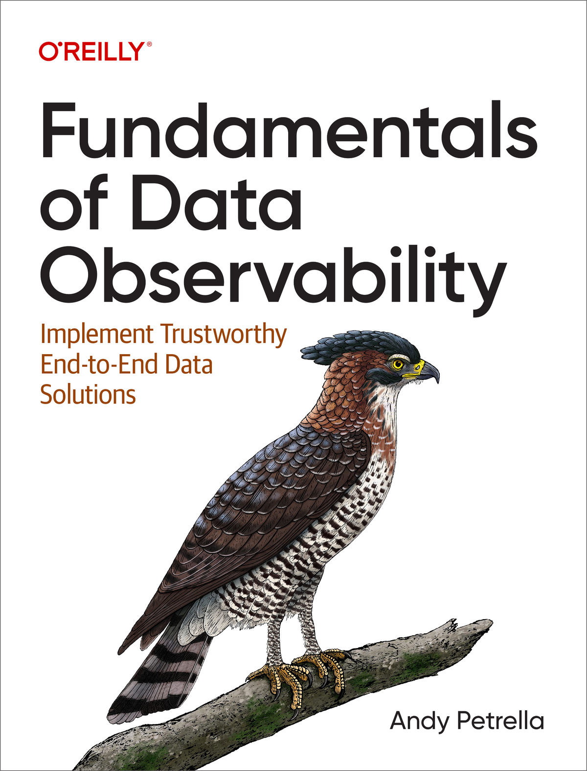 Cover - Fundamentals of Data Observability [Book]